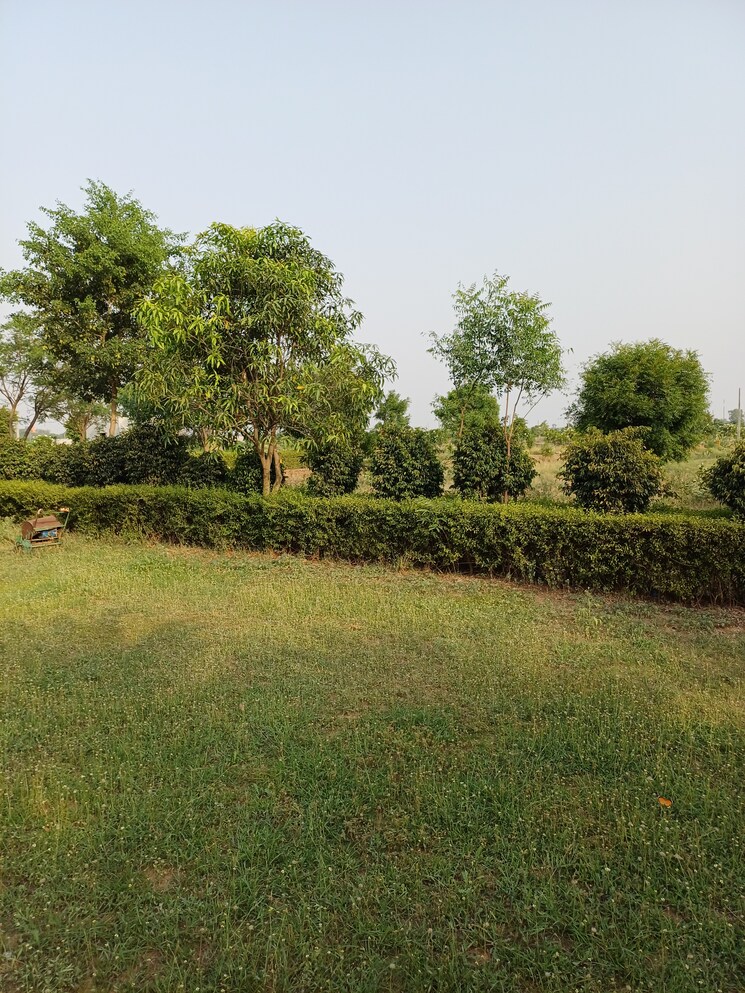 Garden, jewar  112 Sq.Yd. Plot In Jewar Greater Noida 8719572