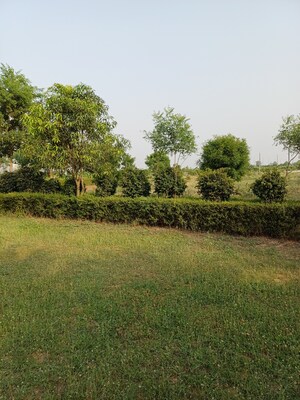  Plot – Garden View at Jewar - for Sale