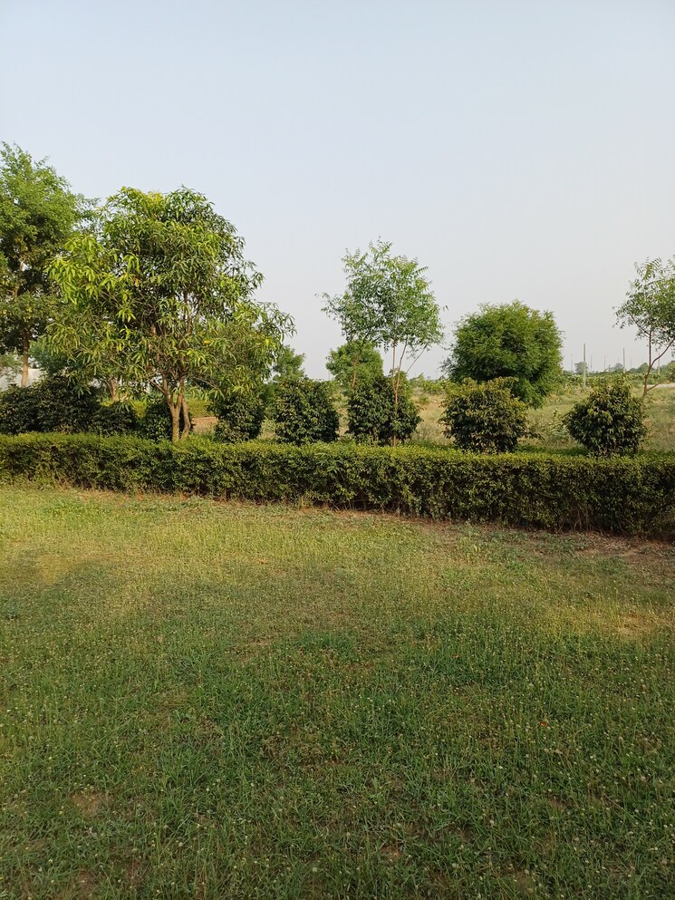 Garden, jewar  112 Sq.Yd. Plot In Jewar Greater Noida 8719572