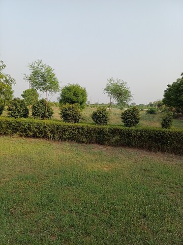  Plot – Garden View at Jewar - for Sale
