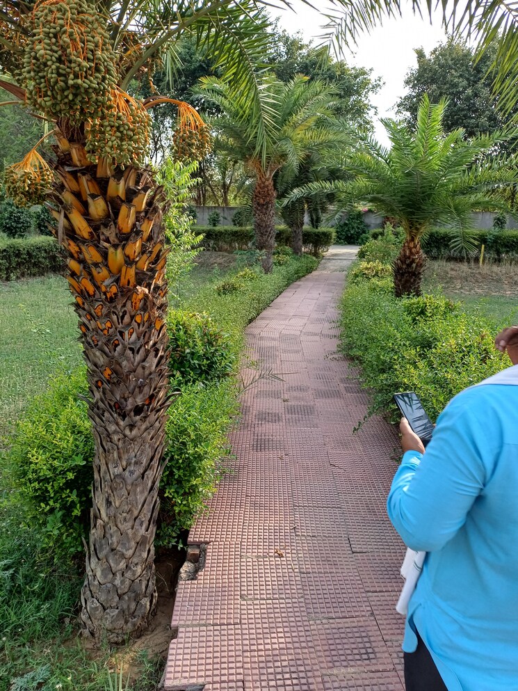 Garden, jewar  112 Sq.Yd. Plot In Jewar Greater Noida 8719572