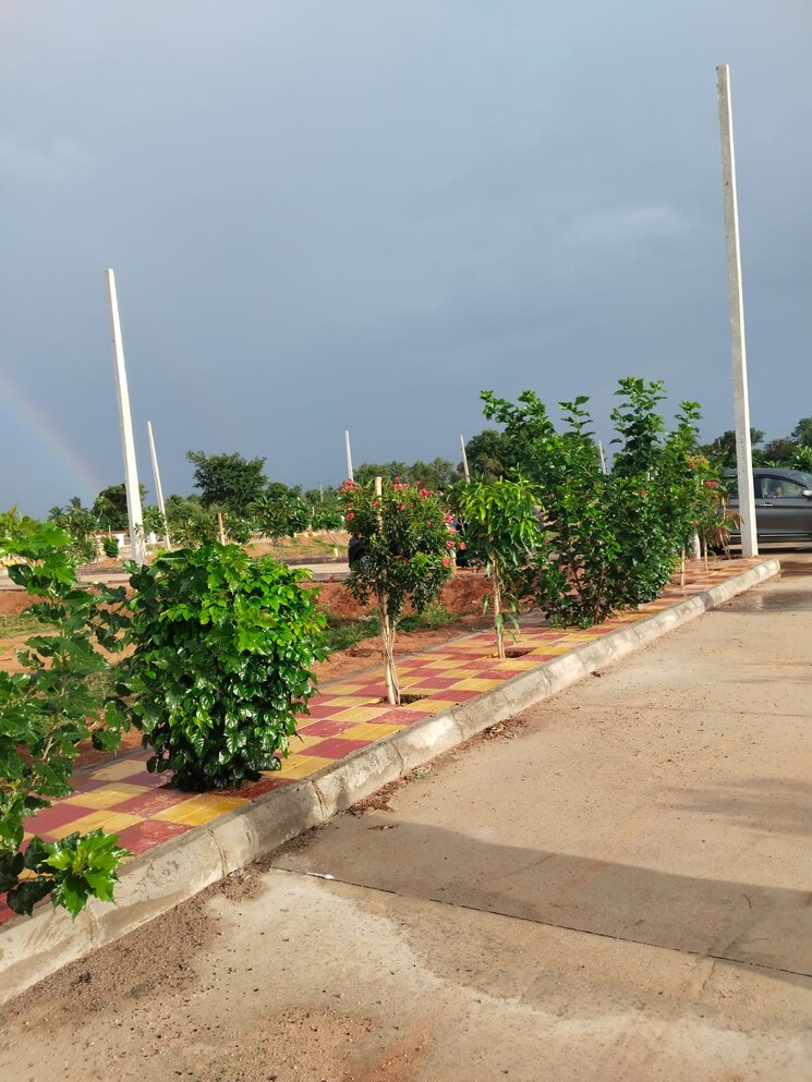 Exterior View, shadnagar  120 Sq.Yd. Plot In Shadnagar Hyderabad 8719965