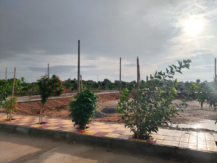 Exterior View, shadnagar  120 Sq.Yd. Plot In Shadnagar Hyderabad 8719965