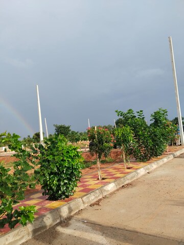  Plot – Exterior View View at Shadnagar - for Sale