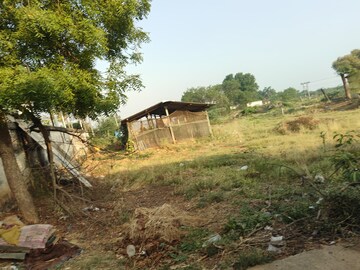 Plot Area in  Plot at Tenali – for Sale