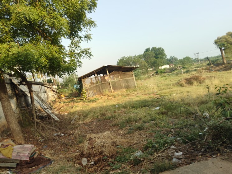 undefined, tenali  600 Sq.Yd. Plot In Tenali Guntur 8720065
