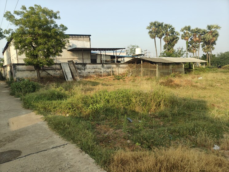 undefined, tenali  600 Sq.Yd. Plot In Tenali Guntur 8720065