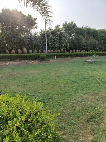  Plot – Garden View at Jewar - for Sale