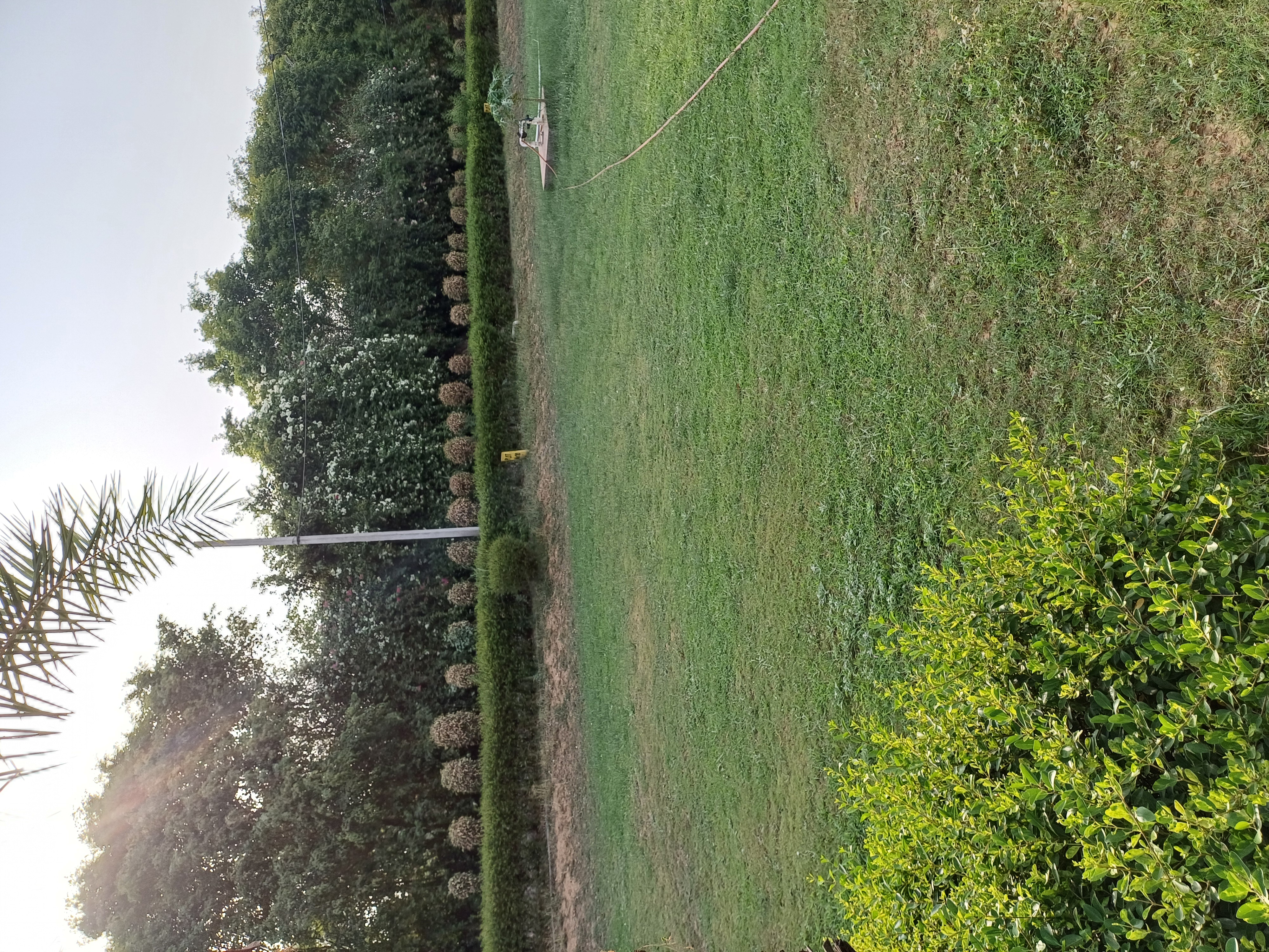 Plot For Sale in Harit City 