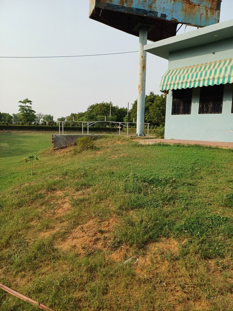 Garden, jewar  118 Sq.Yd. Plot In Jewar Greater Noida 8720503