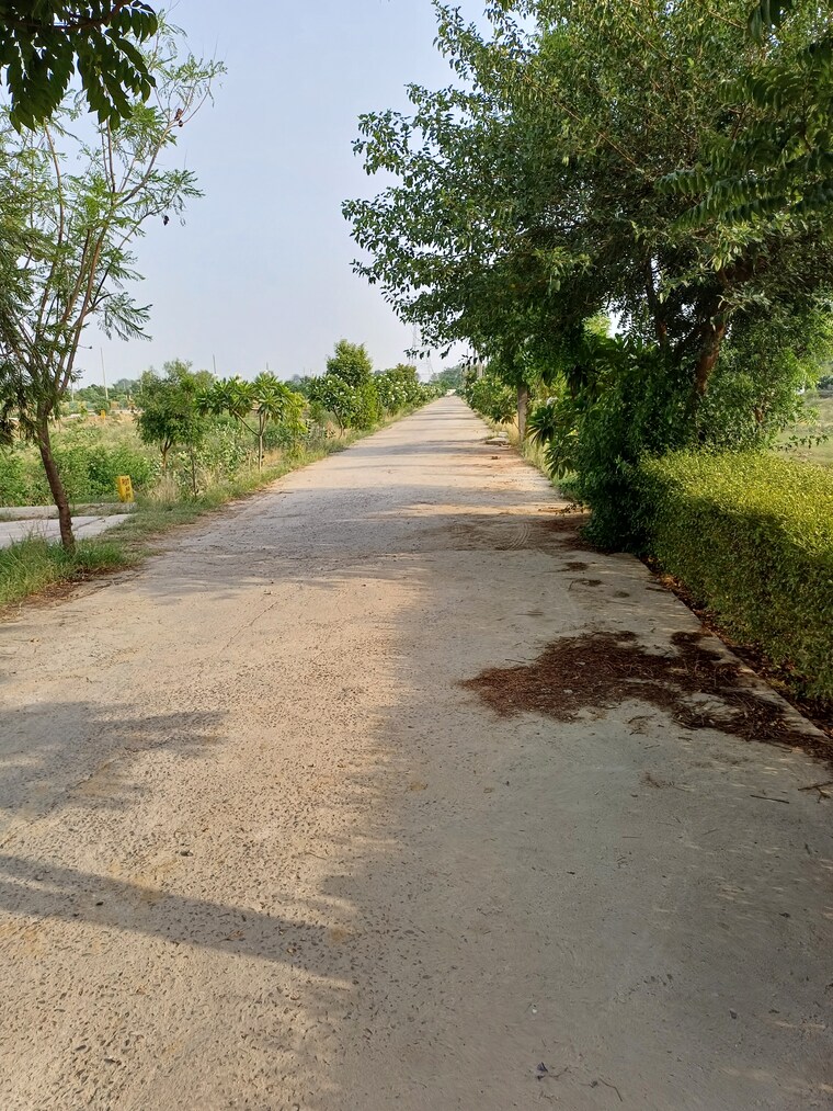 undefined, jewar  118 Sq.Yd. Plot In Jewar Greater Noida 8720503