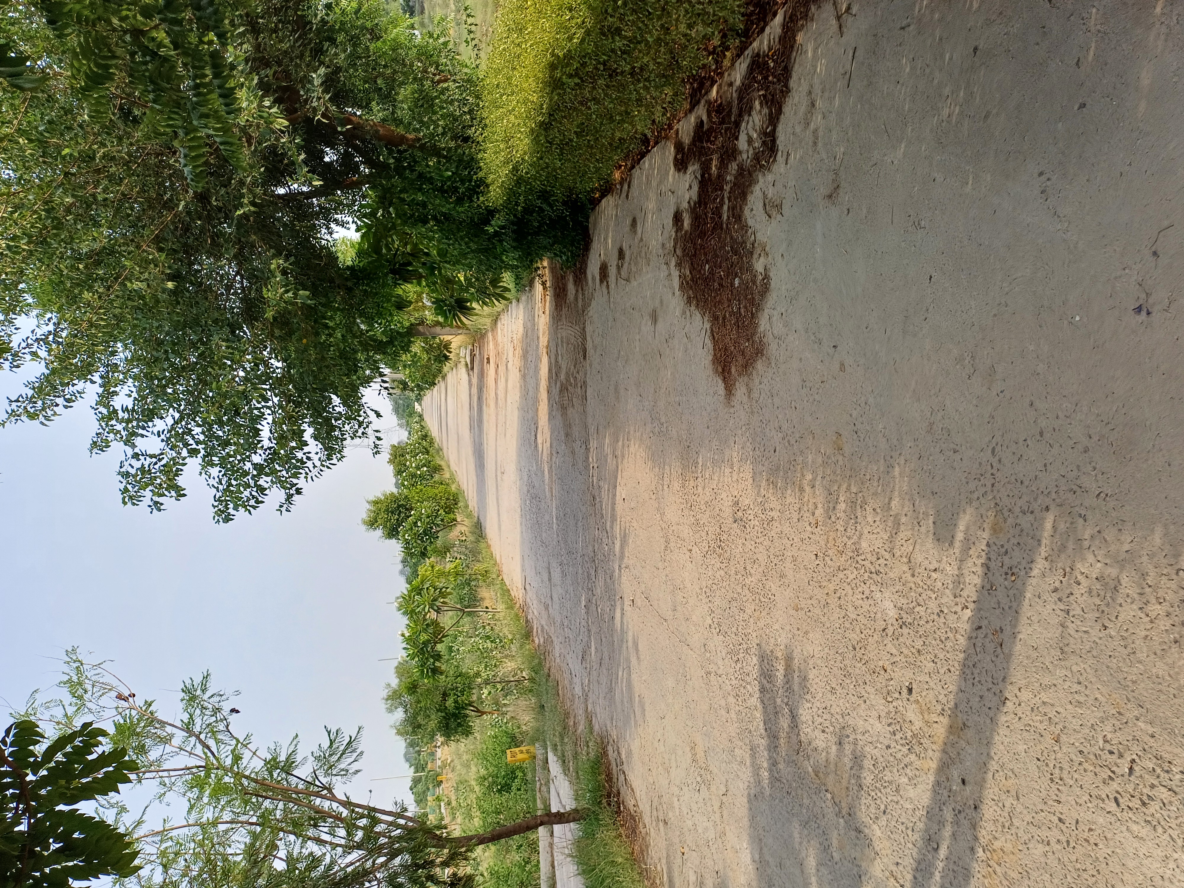 Plot For Sale in Harit City 