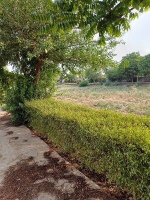  Plot – Garden View at Jewar - for Sale