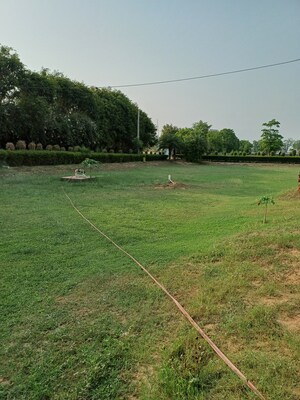  Plot For Sale in Jewar