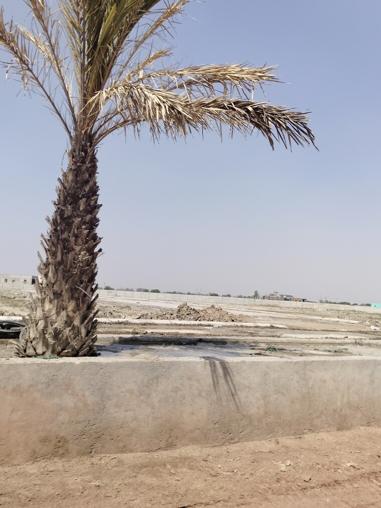 Exterior View, chhata  208 Sq.Yd. Plot In Chhata Mathura 8720561