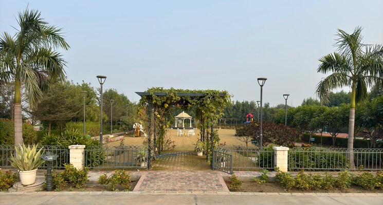 Garden, seema-sadan-farukh-nagar  150 Sq.Yd. Plot In Farukh Nagar Sector 1 Gurgaon 8720654