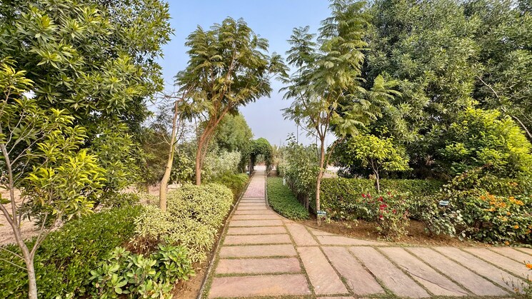 Garden, seema-sadan-farukh-nagar  150 Sq.Yd. Plot In Farukh Nagar Sector 1 Gurgaon 8720654