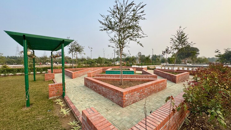 Garden, seema-sadan-farukh-nagar  150 Sq.Yd. Plot In Farukh Nagar Sector 1 Gurgaon 8720654