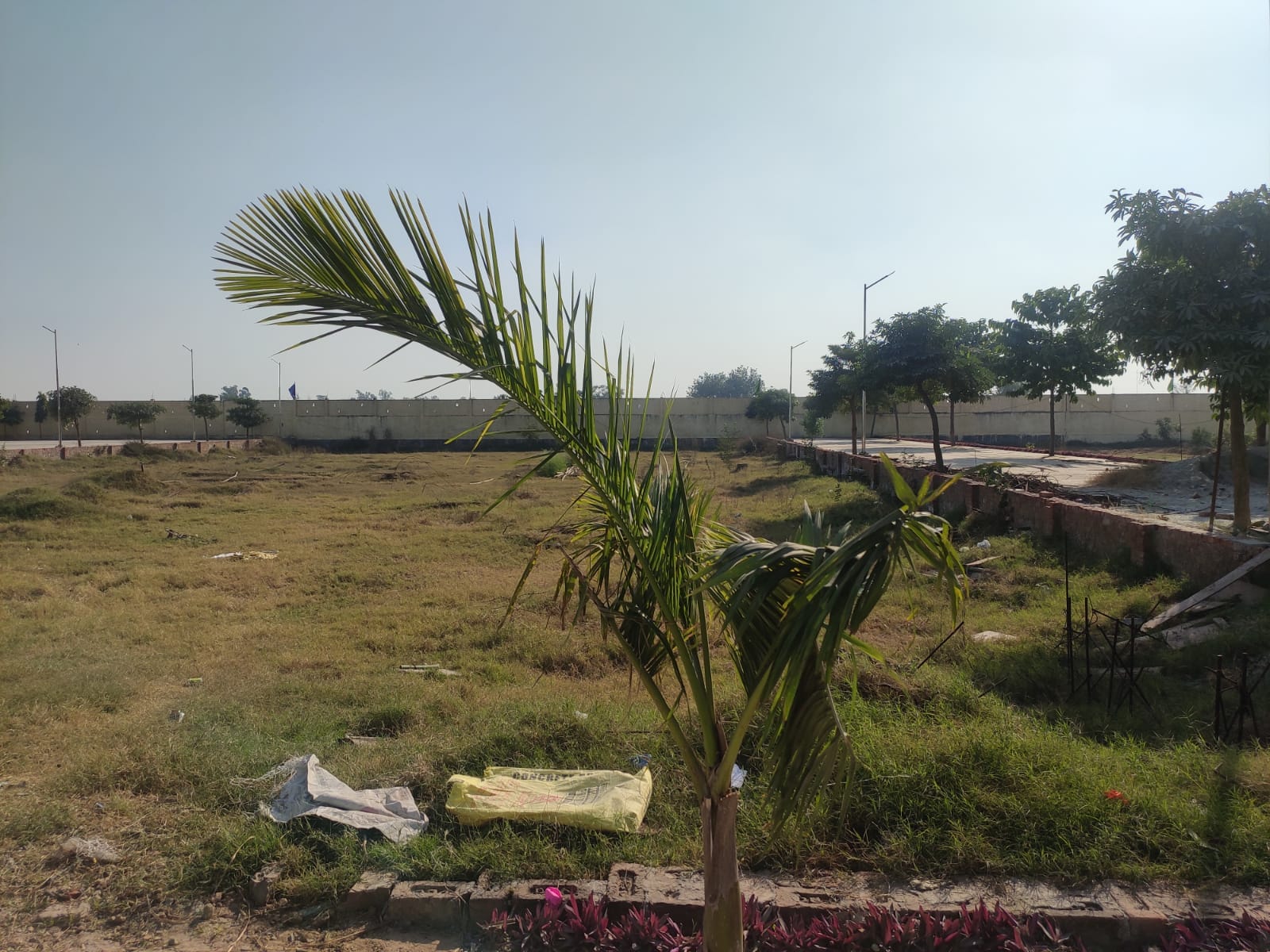 Plot For Sale in Amolik Aster Woods