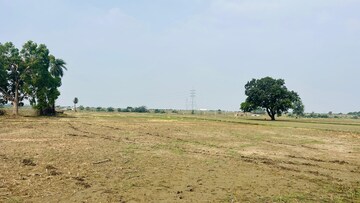 Plot Area in  Land at Bisahda – for Sale