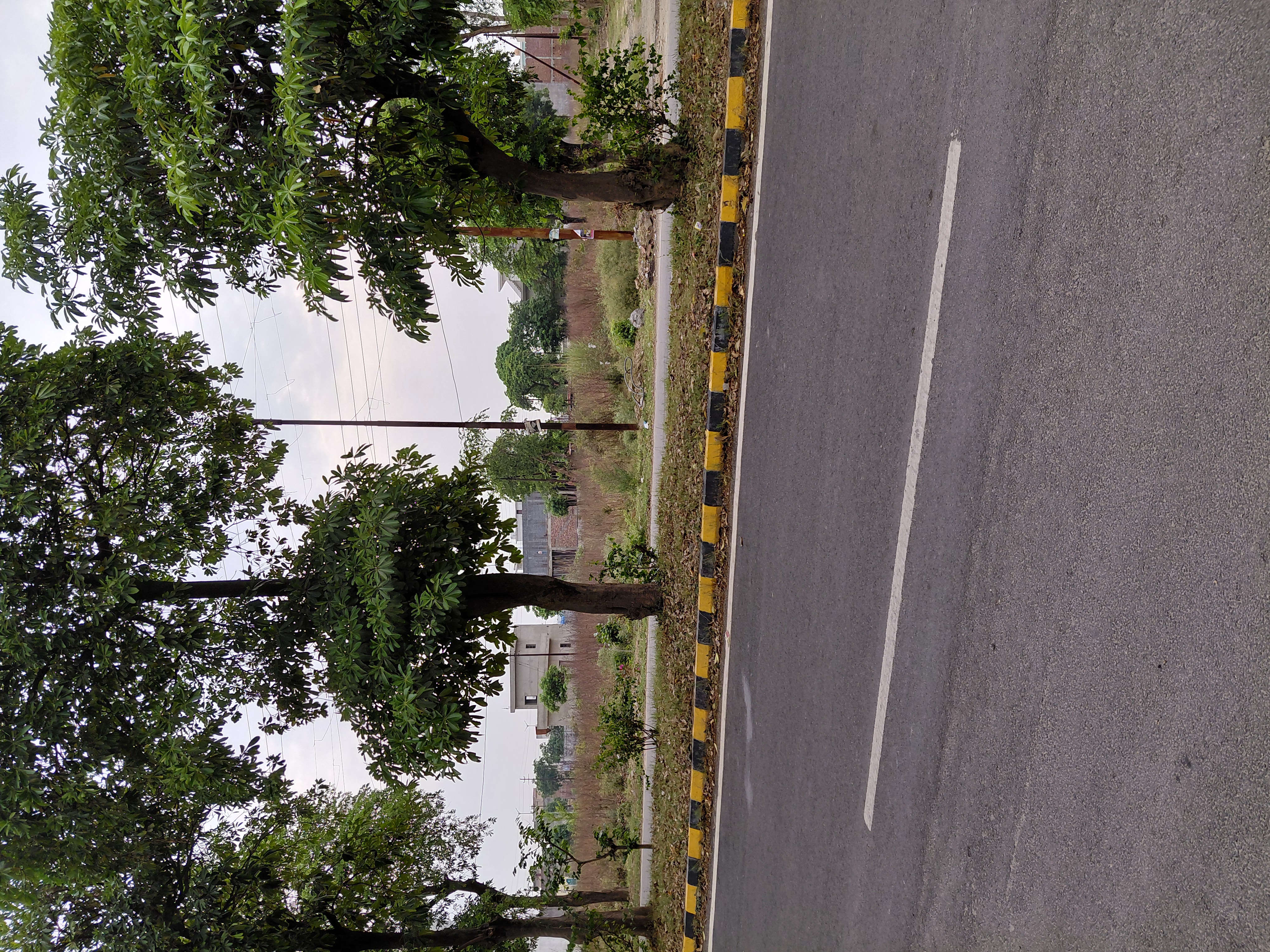 Plot For Sale in New Moradabad