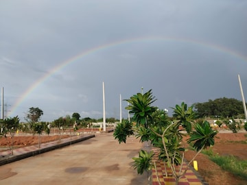  Plot – Garden View at Sector 10 Greater Noida - for Sale