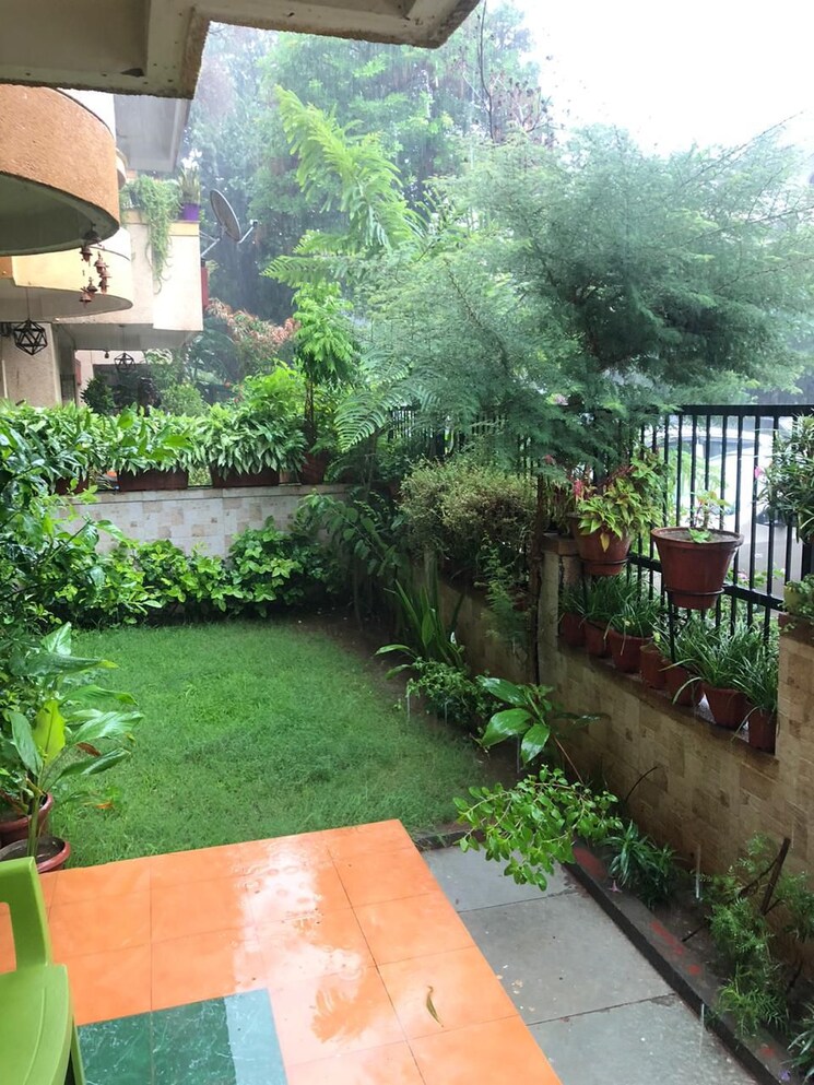 Garden, sector 52 3 Bedroom 300 Sq.Yd. Builder Floor In Sector 52 Gurgaon 8722266