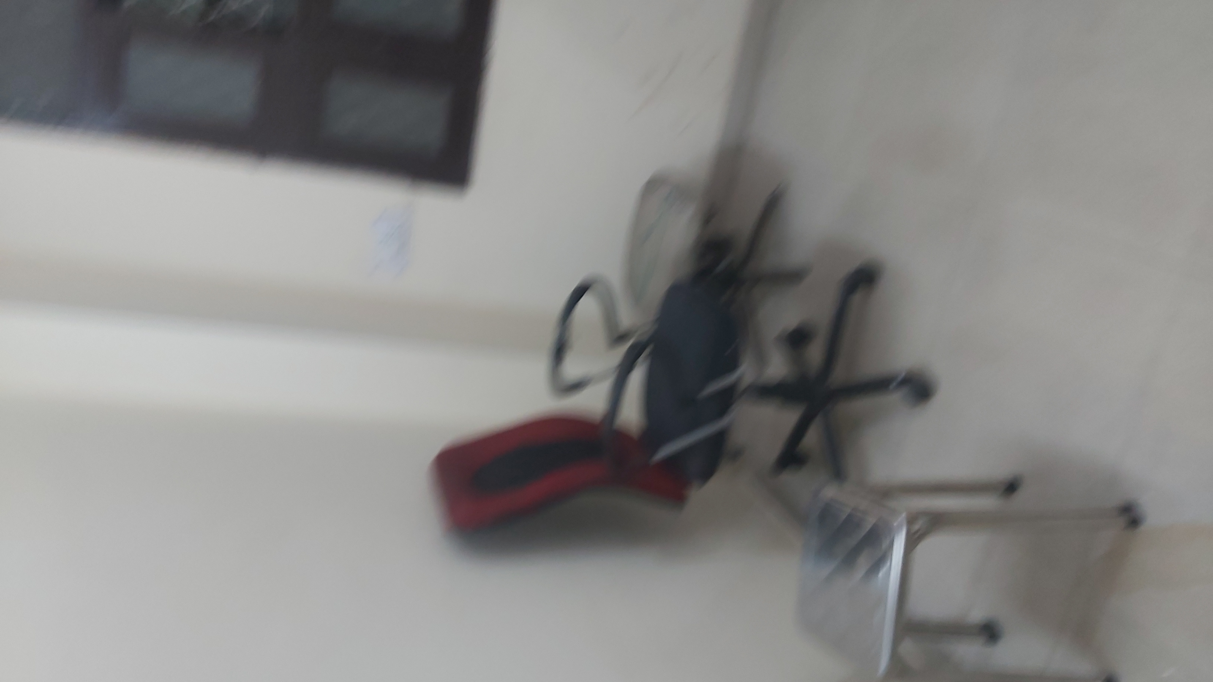 1.5 BHK Builder Floor For Rent in Patparganj Village Opp un