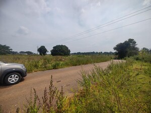 Plot Area in  Plot at Rt Nagar – for Sale