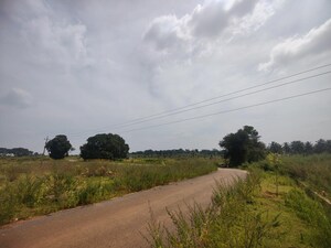 Plot Area in  Plot at Rt Nagar – for Sale