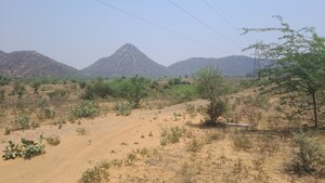 Plot Area in  Land at Alwar Bypass Road – for Sale