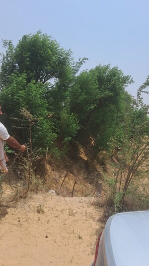  Land – Garden View at Alwar Bypass Road - for Sale