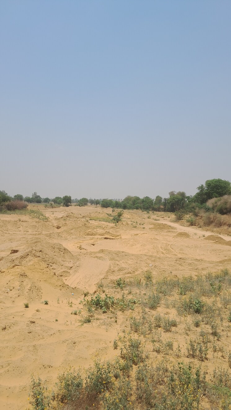undefined, alwar bypass road Commercial Land 8 Acre In Alwar Bypass Road Alwar 8722542
