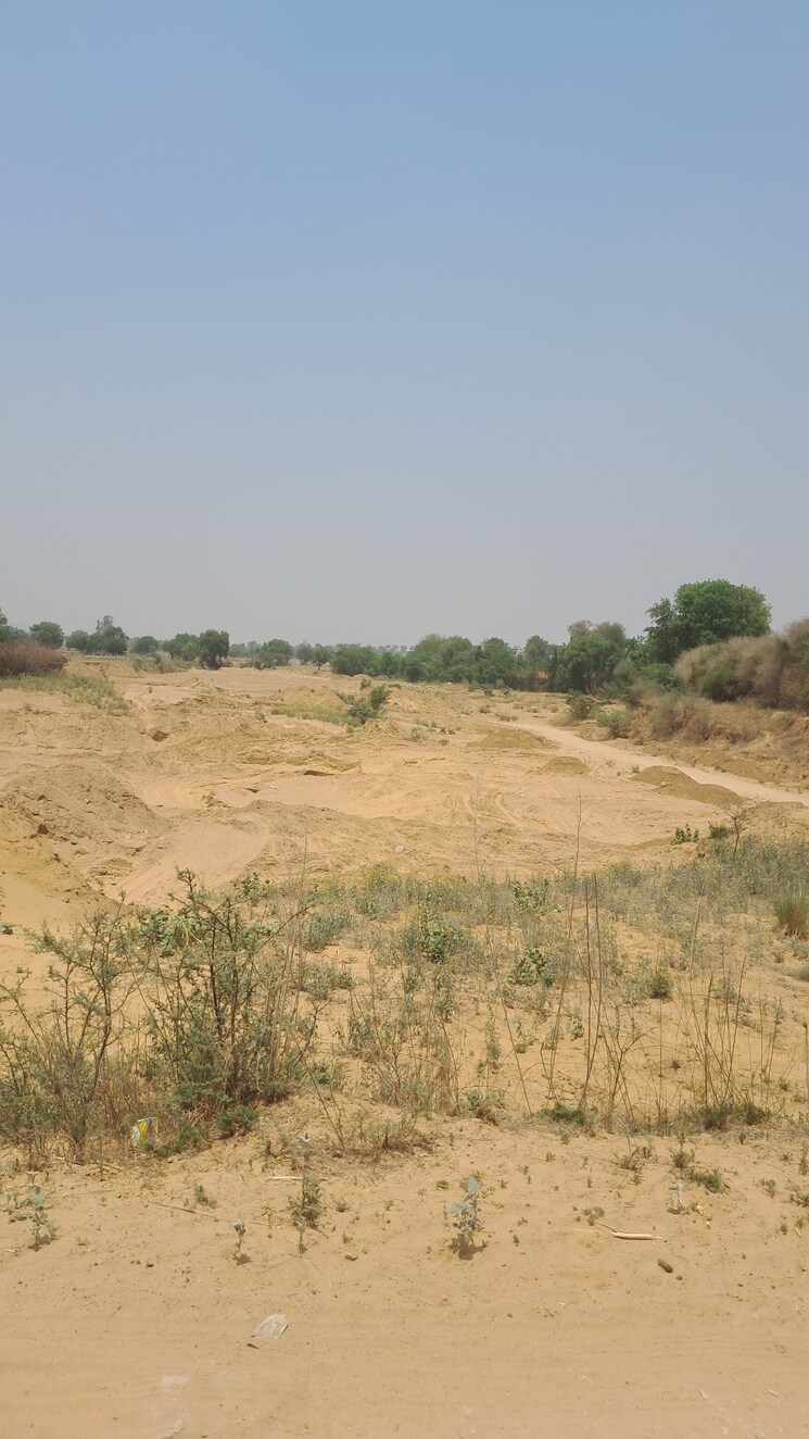 undefined, alwar bypass road Commercial Land 8 Acre In Alwar Bypass Road Alwar 8722542
