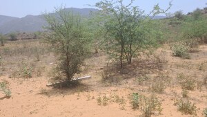 Plot Area in  Land at Alwar Bypass Road – for Sale