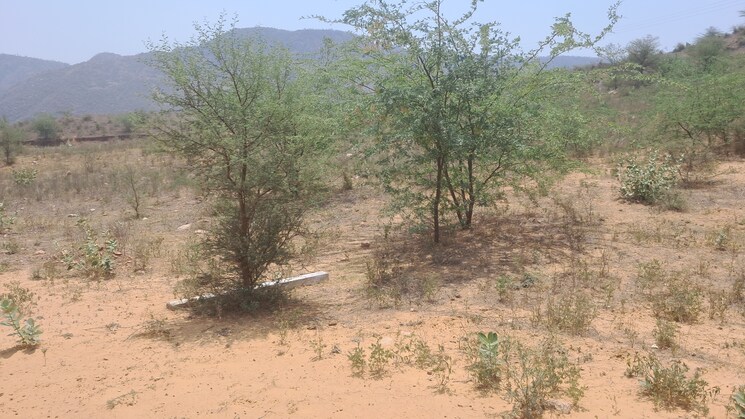 undefined, alwar bypass road Commercial Land 8 Acre In Alwar Bypass Road Alwar 8722542