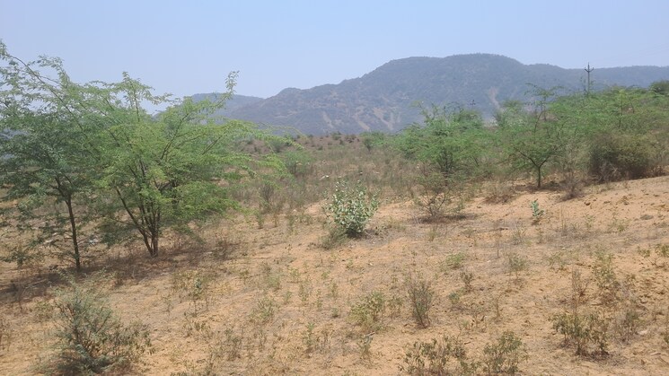 undefined, alwar bypass road Commercial Land 8 Acre In Alwar Bypass Road Alwar 8722542