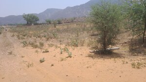 Plot Area in  Land at Alwar Bypass Road – for Sale