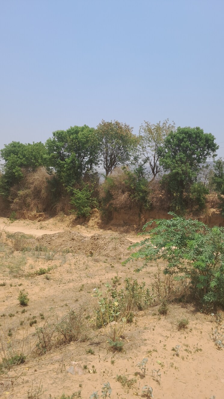 Garden, alwar bypass road Commercial Land 8 Acre In Alwar Bypass Road Alwar 8722542