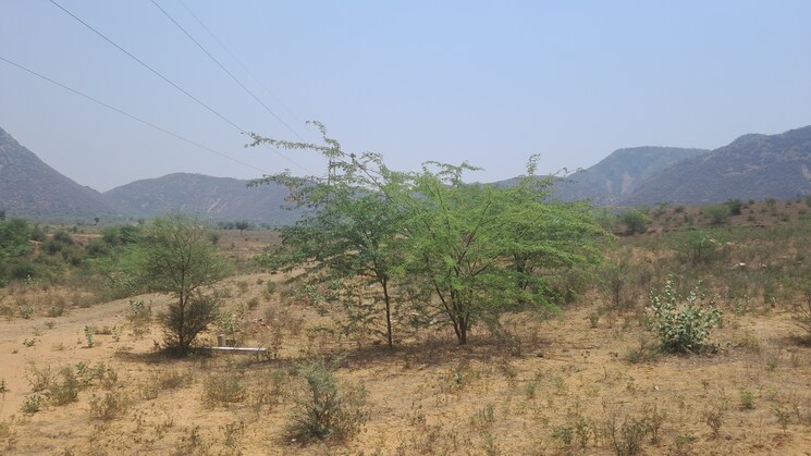 undefined, alwar bypass road Commercial Land 8 Acre In Alwar Bypass Road Alwar 8722542