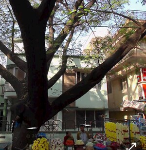  Land For Sale in Basaveshwara Nagar