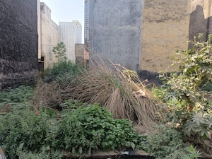 Plot Area in  Plot at Krishna Apartments Ankur Vihar, Dlf Ankur Vihar – for Sale