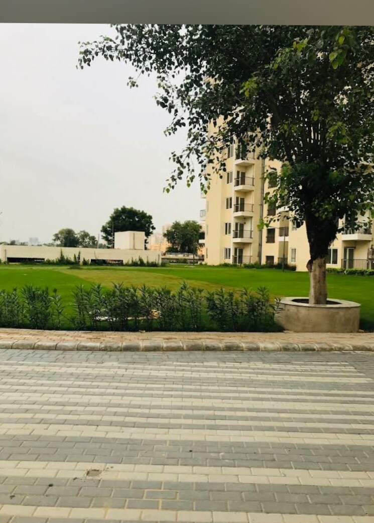 Exterior View, gls-avenue-51 2 Bedroom 856 Sq.Ft. Apartment In Sector 92 Gurgaon 8722888