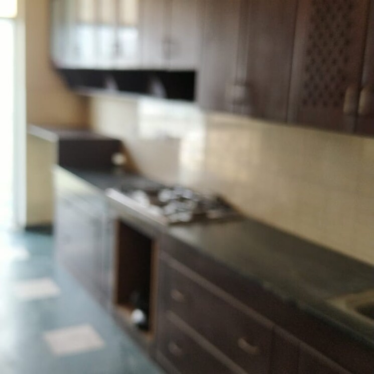 Kitchen, dlf-the-royalton-tower 4 Bedroom 2940 Sq.Ft. Apartment In Golf Course Road Gurgaon 8722968