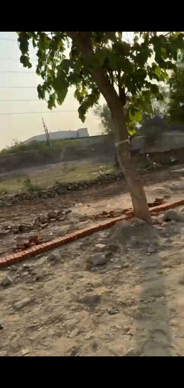 Plot Area in  Plot at RWA Apartments Sector 92, Sector 92 – for Sale