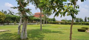  Plot – Nearby View at Dhamtari Road - for Sale