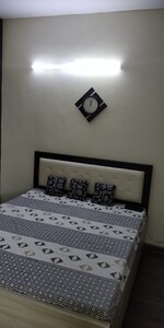 3.5 BHK + Pooja Room,Servant Room,Study Room 250 Sq.Yd. Independent House in Sector 8 Faridabad 