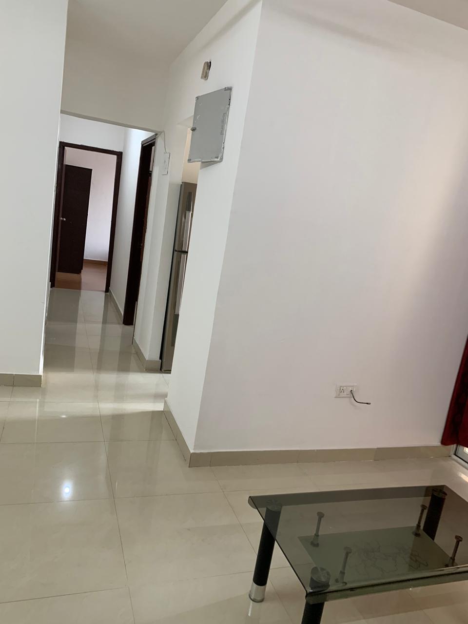 1 BHK Apartment For Rent in DB Orchid Ozone