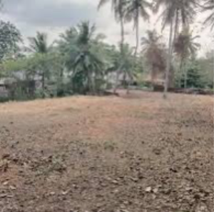  Plot For Sale in Racharda
