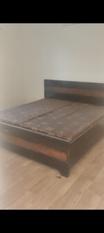 3 BHK 270 Sq.Yd. Apartment in Lavender Floors